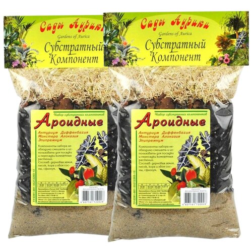 ������ ������ �������� 