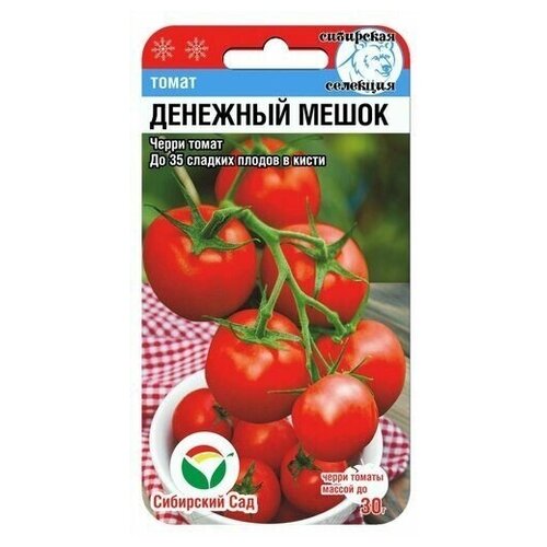 ������ ������ ������ ����� �������� ����� (��������� ���) 20 ����� ����