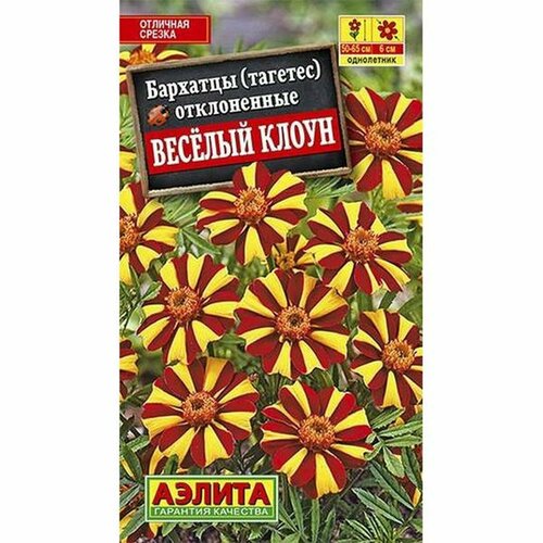 ������ ������ ������ �������� ������� ����� �����������, ����. (����������) (������) 0,1� ����