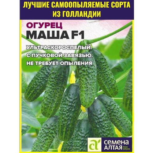 ������ ������ ������ ������������� ������� ���� F1 - 5 ��. ������ ����������������� ������ ��� ��������� ������ � ������ ����