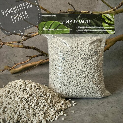 ������ ������ �������� ���������� �����, ������������ ������ 2 �. Terracotta Plants, �� ���������� � ��� �������� ��������. ����