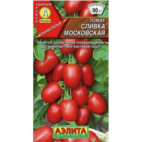 ������ ������ ������� ����� 