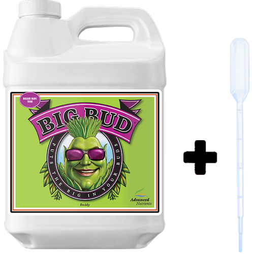  Advanced Nutrients Big Bud 0,5 + -,   ,      -     , -,   
