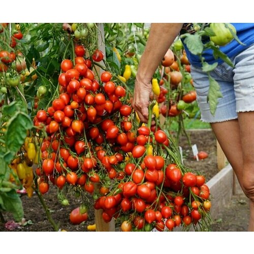 ������ ������ ������������� ������ ������ ������� ������ ����