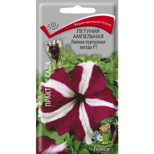 ������ ������ ������ ������� ������ ��������� ������ F1 ��������� 10�� ��� (�����) ����