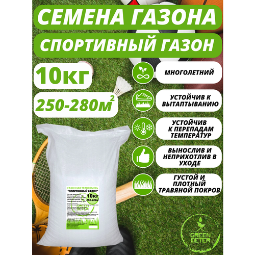 ������ ������ �������� �����, ������ �������� ����� 10 �� ����