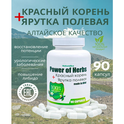 ������ ������ ������� ������ � ������ ������� 90 ������ ����