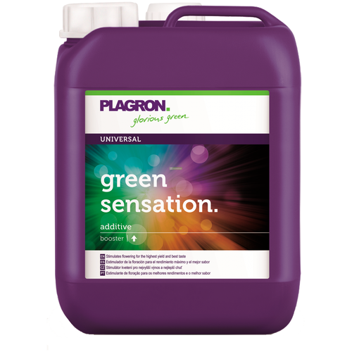 ������ ������ ���������� PLAGRON Green Sensation 5 � ����