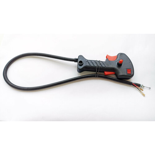 ������ ������ ����� ���� ��������� � ����� (������) ����