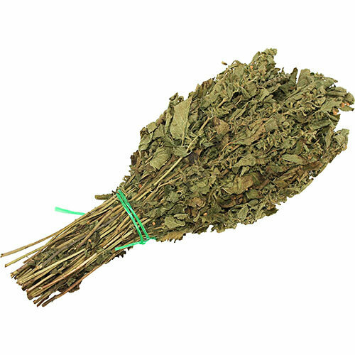 ������ ������ ����� �������� ���� �����, �� �������, ��� ����, ������ 2024 ����