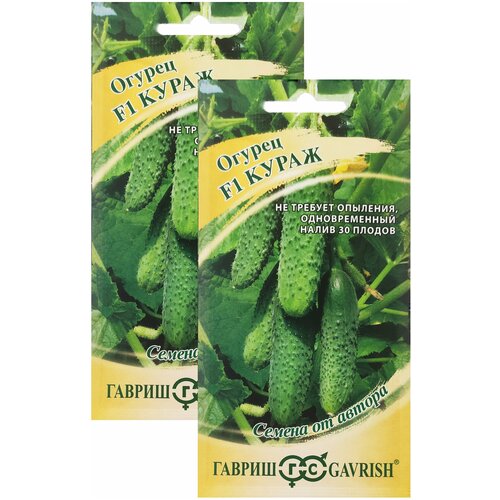 ������ ������ ������ ����� F1 2 ������ �� 10�� ����� ����