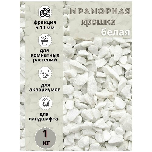 ������ ������ ��������� ������ ����� ������� 5-10�� (1 ��) ����� ����������� ��� ��������� � ������� �������� ����