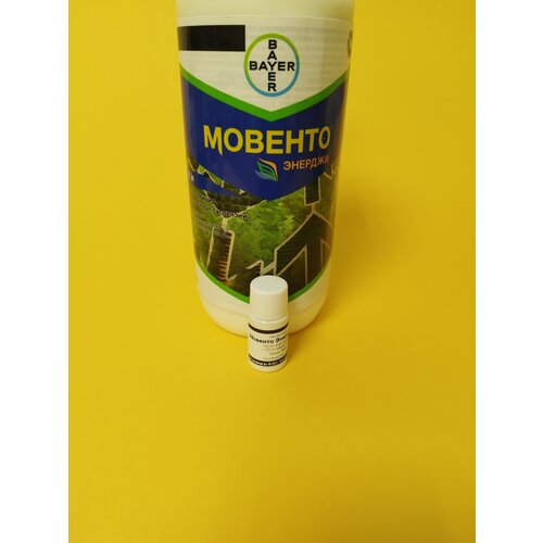 ������ ������ ���������� ������� ������� 10 �� ����