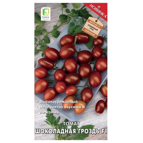 ������ ������ ����� ���������� ������ F1 ����