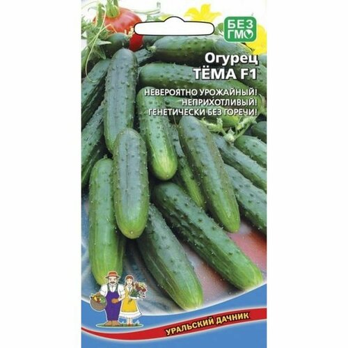 ������ ������ ������ ������ Ҹ�� F1 12�� ����