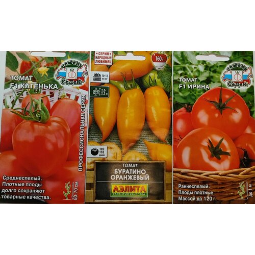 ������ ������ ����� �� 3 ����� ��������� ������ ������� �����, ��������, �������� �����. ����