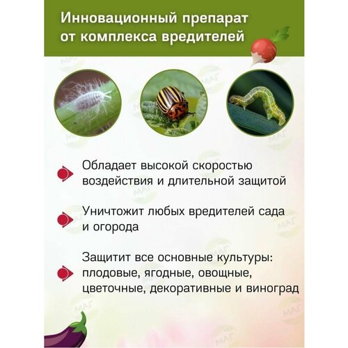 ������ ������ �������� ��� ������ �������� �� ���������� Avgust ��������� 10 �� ����