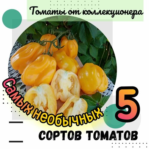 ������ ������ ������ �������, 5 ������ ����� ��������� �������, 50 �����, ������ �� ������������� ����