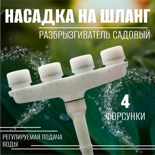 ������ ������ ������� �� ����� ��� ������ 4 �����, ��������������� ������� ����