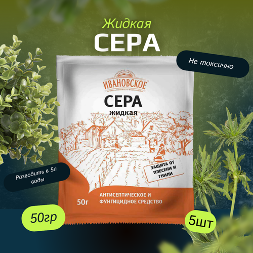 ������ ������ ���� ������ 50�� / 5��. ���������� ��������� ����������. ����