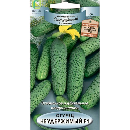 ������ ������ ������ ������ ����������� F1 12�� ������������������ ������ (�����) ����