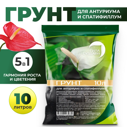 ������ ������ ����. ����� ��� ���������, ������������� � ������������ ���� �������/ ����� ��� ��������� ������, 10 � ����