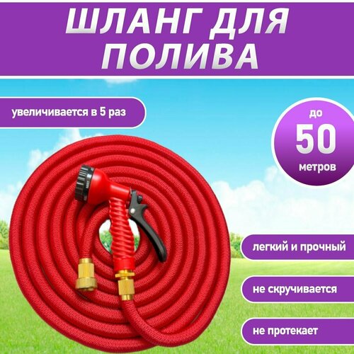 ������ ������ ����� ������� ��������������� 50 ������ ��� ������ � ������������ / ����� ������� ���������� / ���������, �������, � ������������� �����������, 3/4 ����