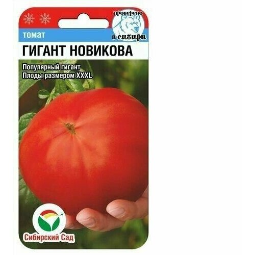 ������ ������ ����� ������ �������� ��������� ��������� (1 ��������-20�� �����) ����