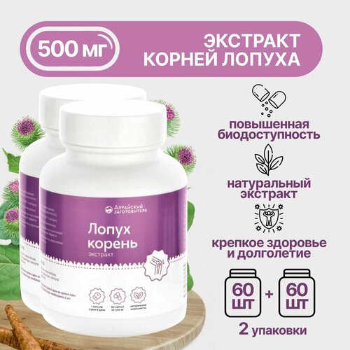 ������ ������ ����� �������� ����� ������� �� 500 ��, 2 ����� �� 60 ��. - ��������� ������������ ����