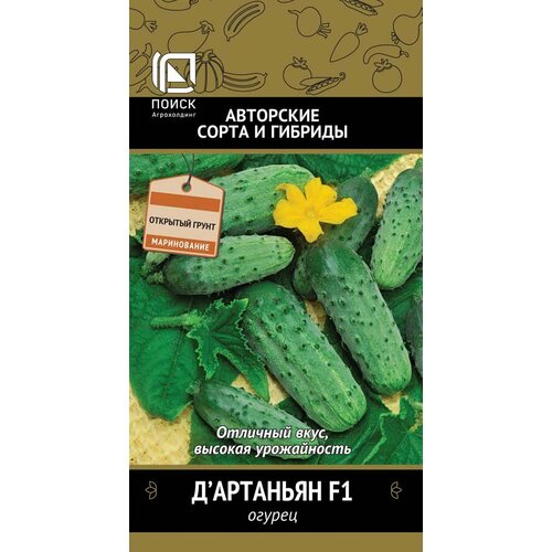 ������ ������ ������ ������ � �������� F1 12�� (�����) ����