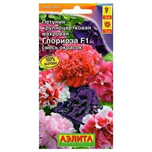 ������ ������ ������� �������� ��������������� �������� F1 ( 1 �������� ), ����� ������� ����