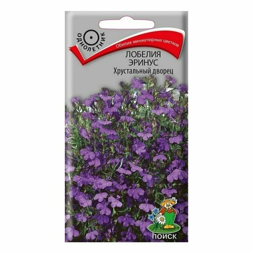 ������ ������ ������ ����� ������� ������ ����������� ������ 0.1 � ����