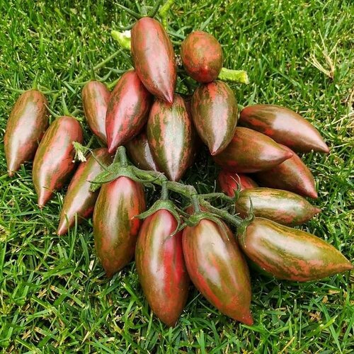 ������ ������ ���������� ������� ������ ������� ����