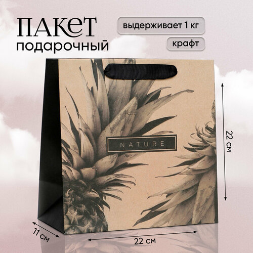 ������ ������ ����� ���������� �Black�, 22 � 22 � 11 �� ����