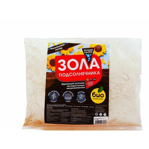 ������ ������ ���� ������������� 1� ����