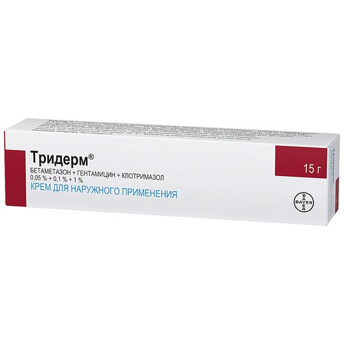 ������ ������ ������� ����, 15 � ����