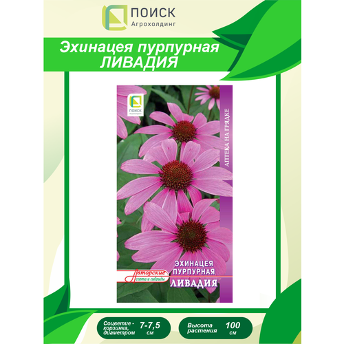 ������ ������ ������ �������� ��������� ������� 20 ��. ����