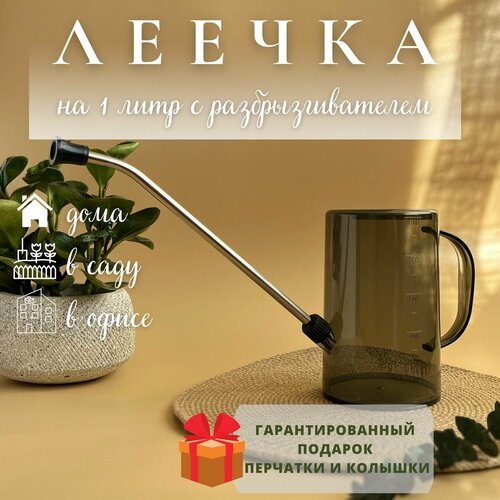 ������ ������ ����� ��� ������ 1 ���� ����