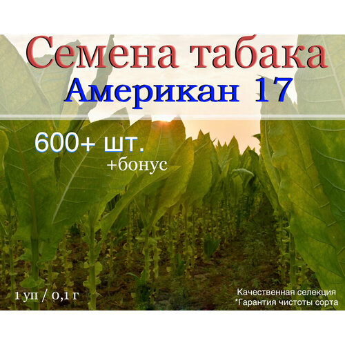 ������ ������ ������ ������ �������� 17 ����