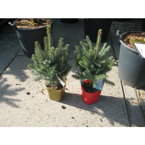 ������ ������ �������� ��� ������� ����� ��� 882328 �2 H25-30 ����