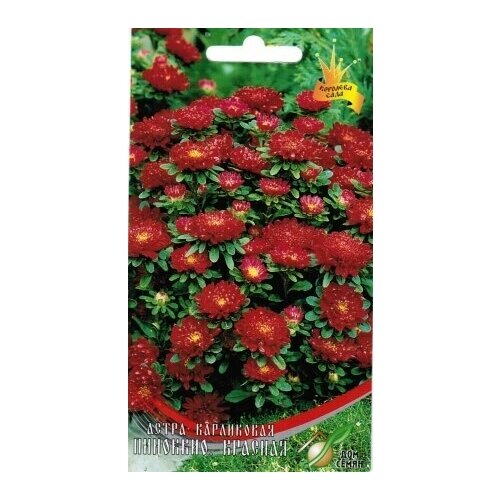 ������ ������ ����� ��������, �������, 35 ����� ����