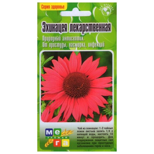 ������ ������ �������� �������������, 35 ����� ����