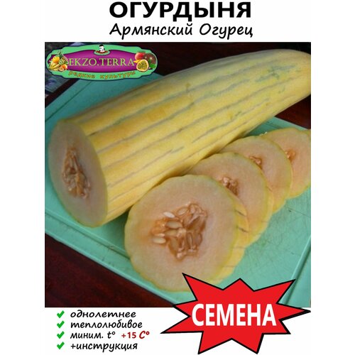 ������ ������ ������ ��������, ��������� ������, ���� ���������� 3 ��. ����