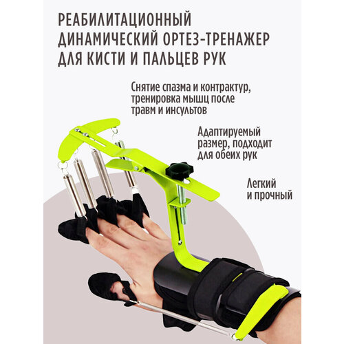 ������ ������ ����� (��������) ��� ����� � ������� ���, ������������ ����� ����