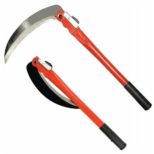 ������ ������ ���� ��� ����� �������� / ���� �������� ����