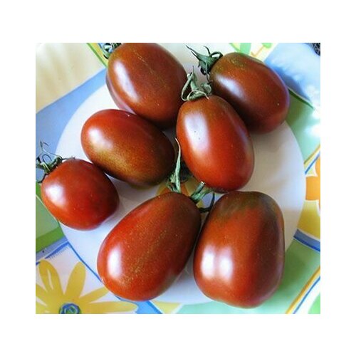 ������ ������ ����� ������ ���������� F (3 ��������)1, ������ ����