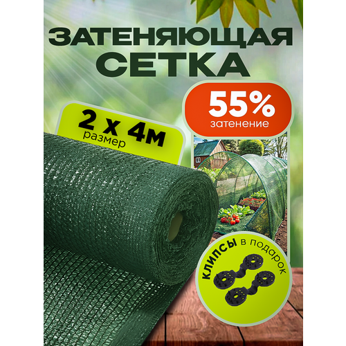 ������ ������ ����� ���������� �������, ��������� 55%, ������ 2�4� ����