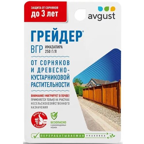     Avgust    10    -     , -,   