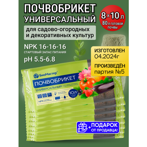 ������ ������ ����������� ���������, ����� ��� ������� ������ � ������ ������������� 10�, 8 ��. ����