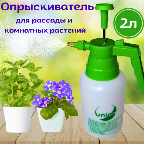 ������ ������ ������������� �������� ������ 2 ����� ����